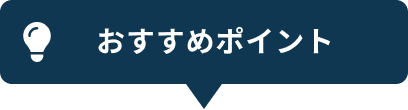 おすすめポイント
